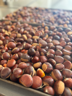 chesnuts