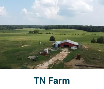 GreatWonder Farm TN